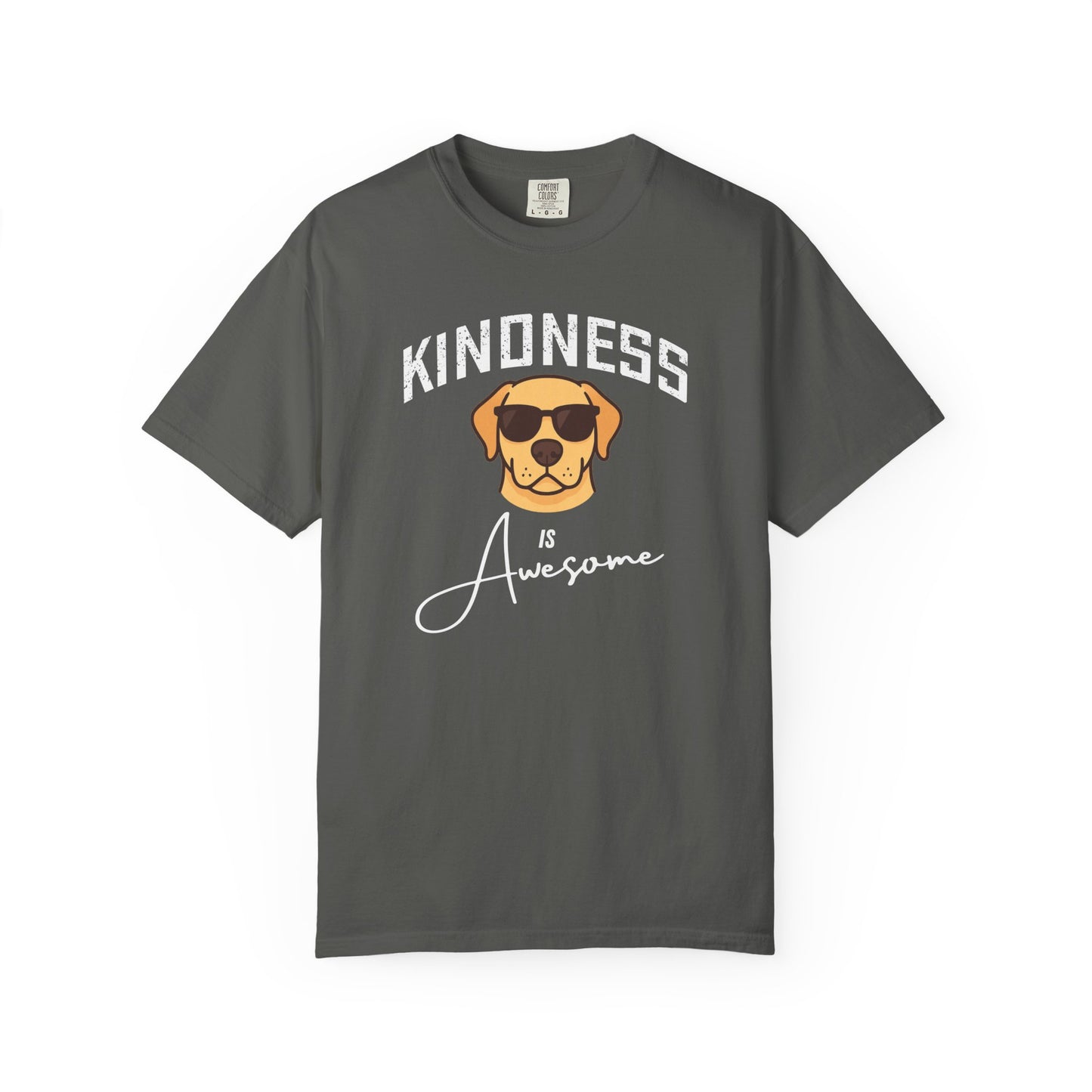 Kindness is Awesome T-Shirt