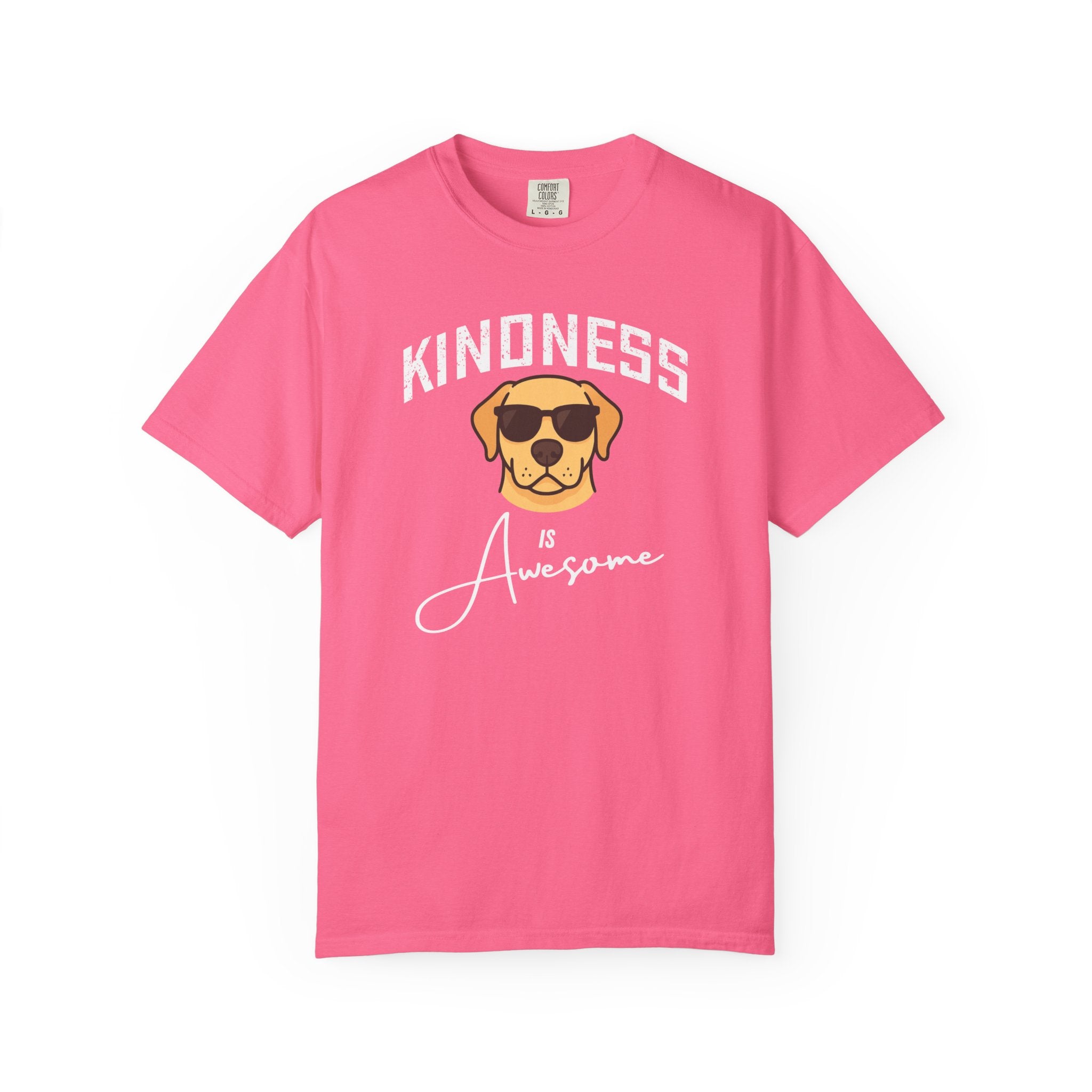 Kindness is Awesome T-Shirt