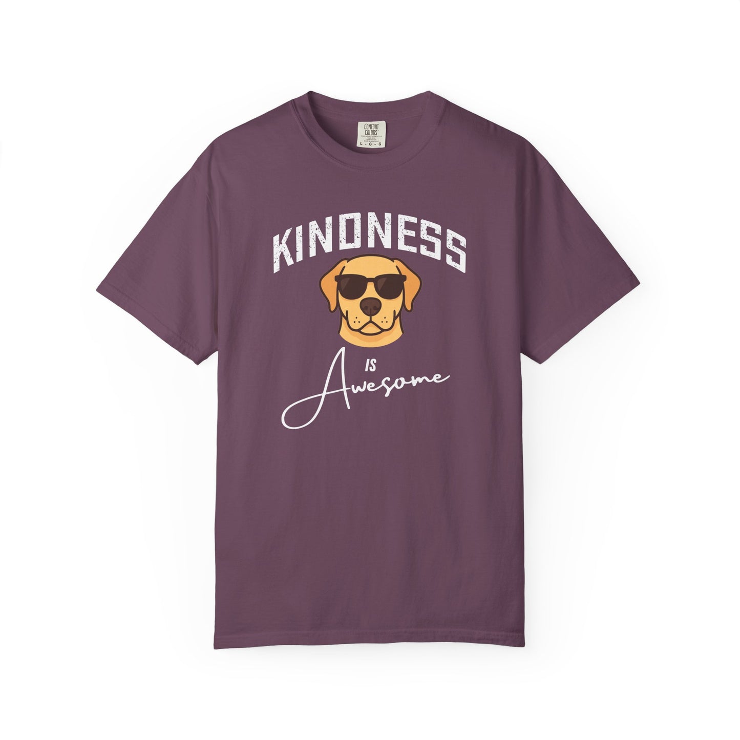 Kindness is Awesome T-Shirt