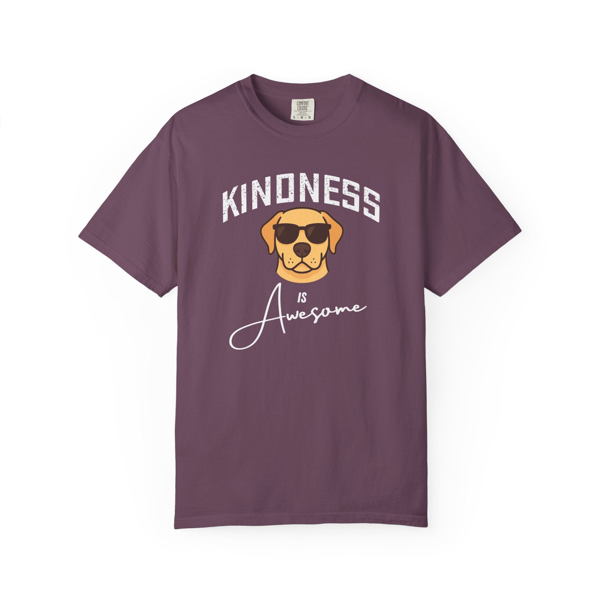 Kindness is Awesome T-Shirt