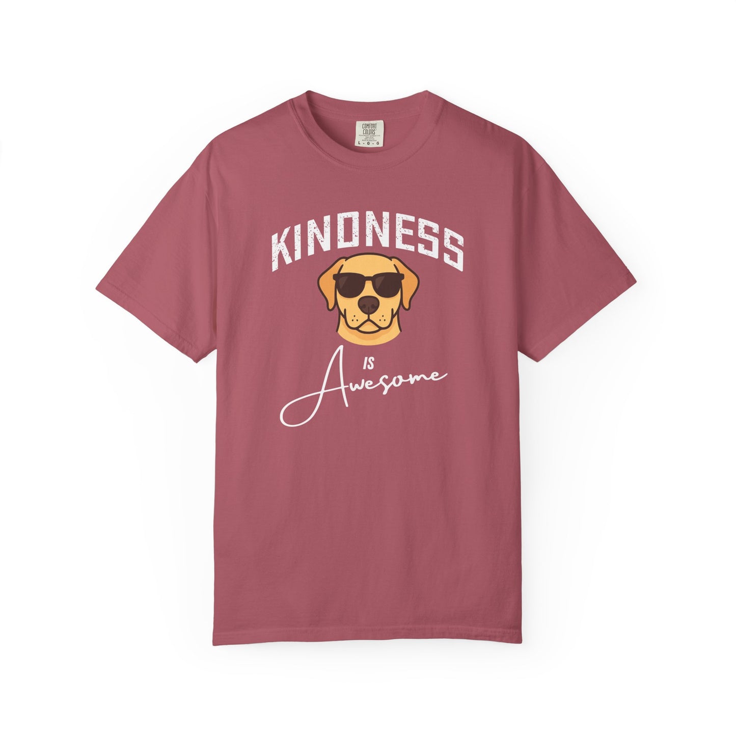 Kindness is Awesome T-Shirt