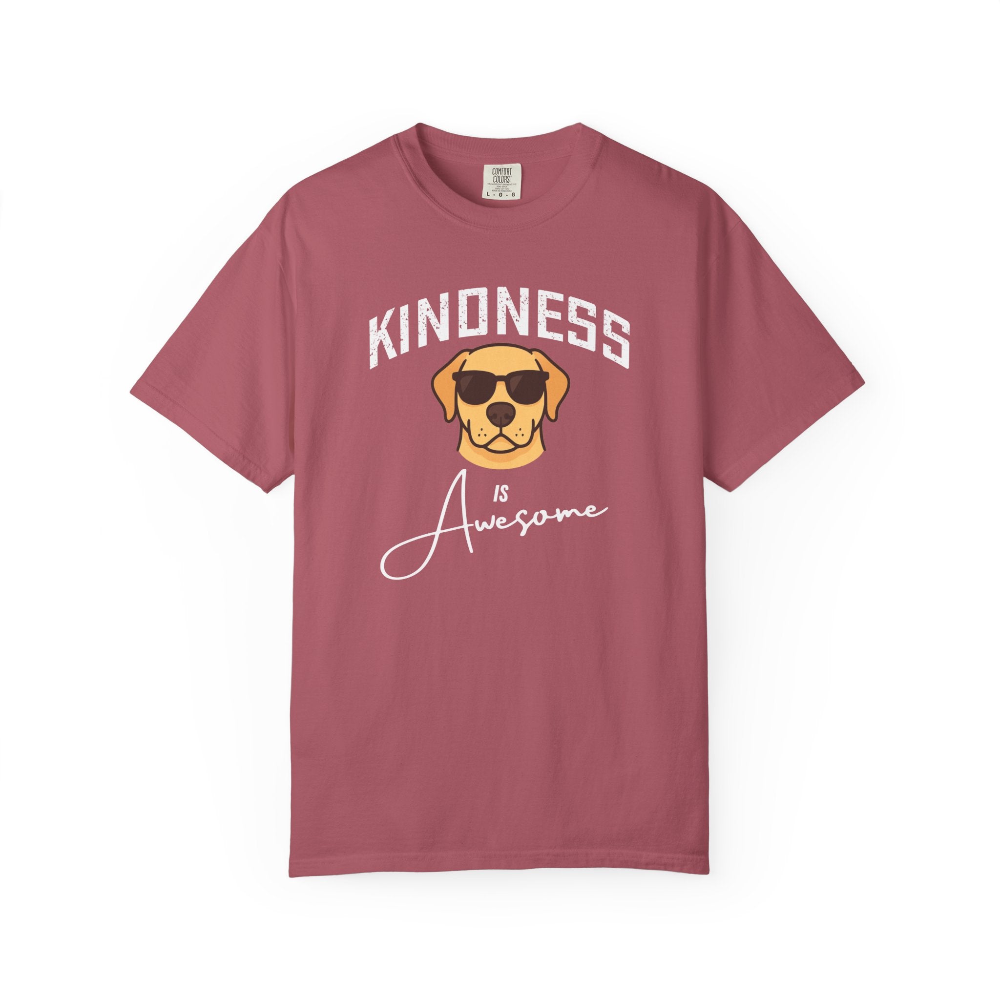 Kindness is Awesome T-Shirt